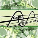 CoSin 2011